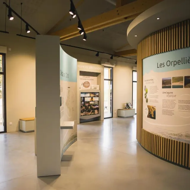 Aménagement du site Naturel des Orpellières