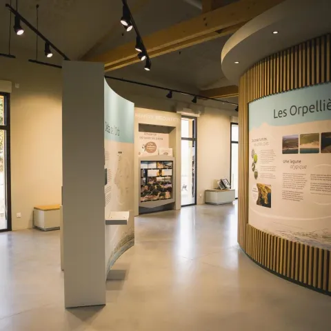 Aménagement du site Naturel des Orpellières