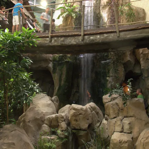 Aquarium Mare Nostrum