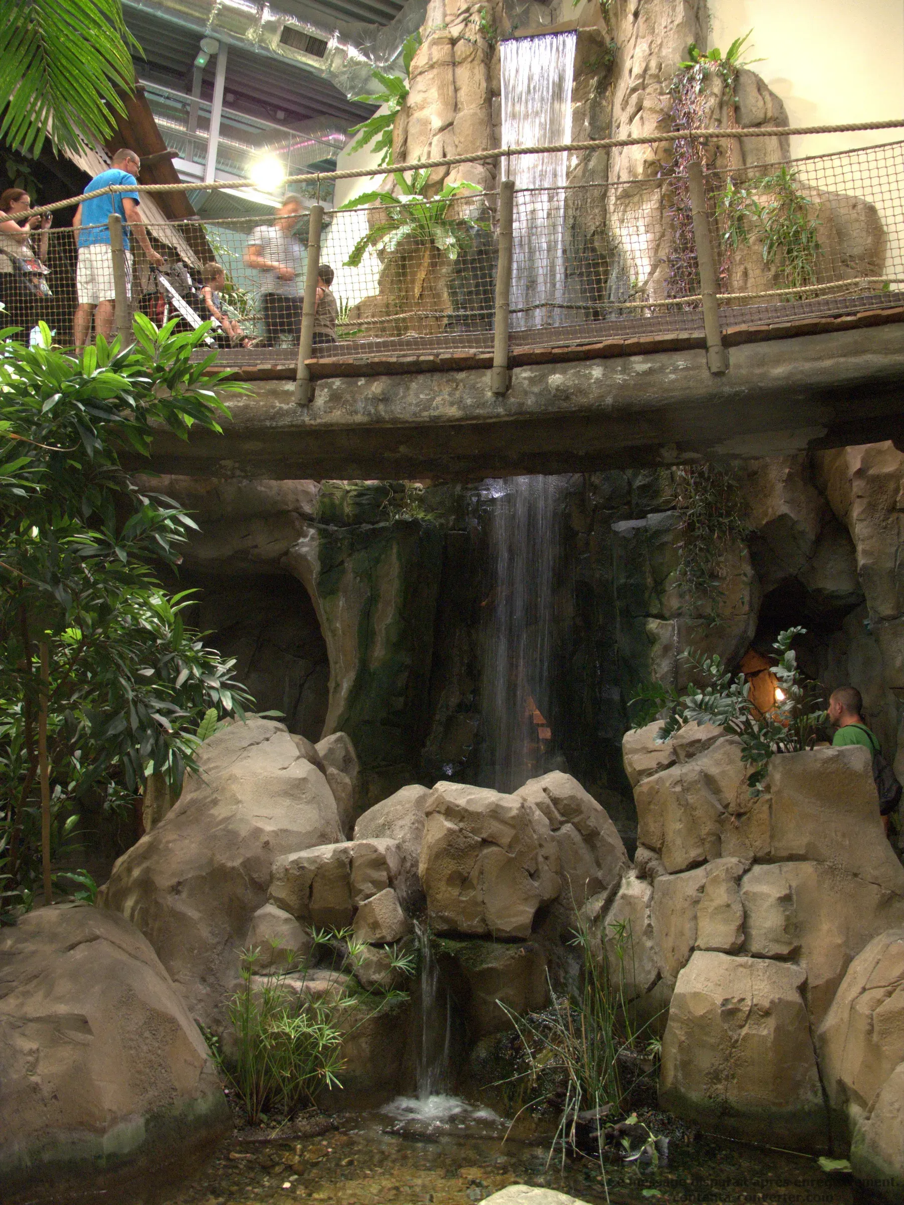 Aquarium Mare Nostrum, photo 1