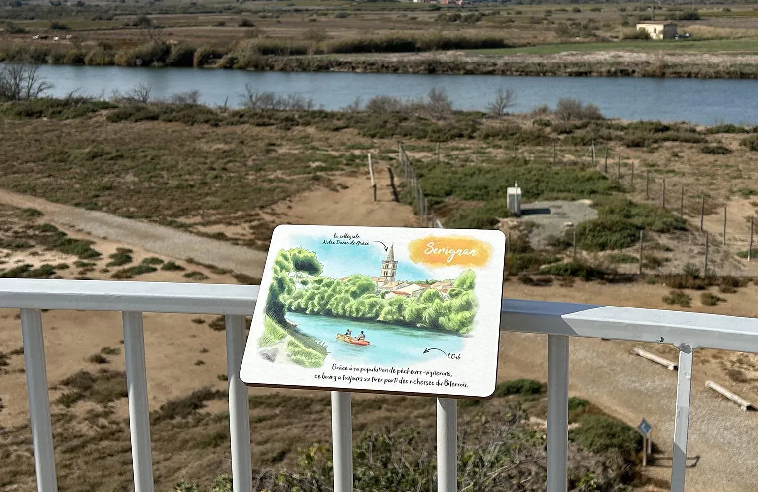 Aménagement du site Naturel des Orpellières, photo 2