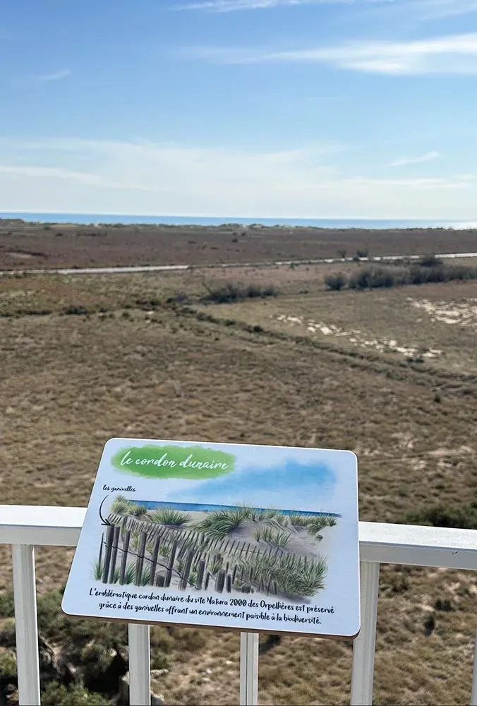 Aménagement du site Naturel des Orpellières, photo 3