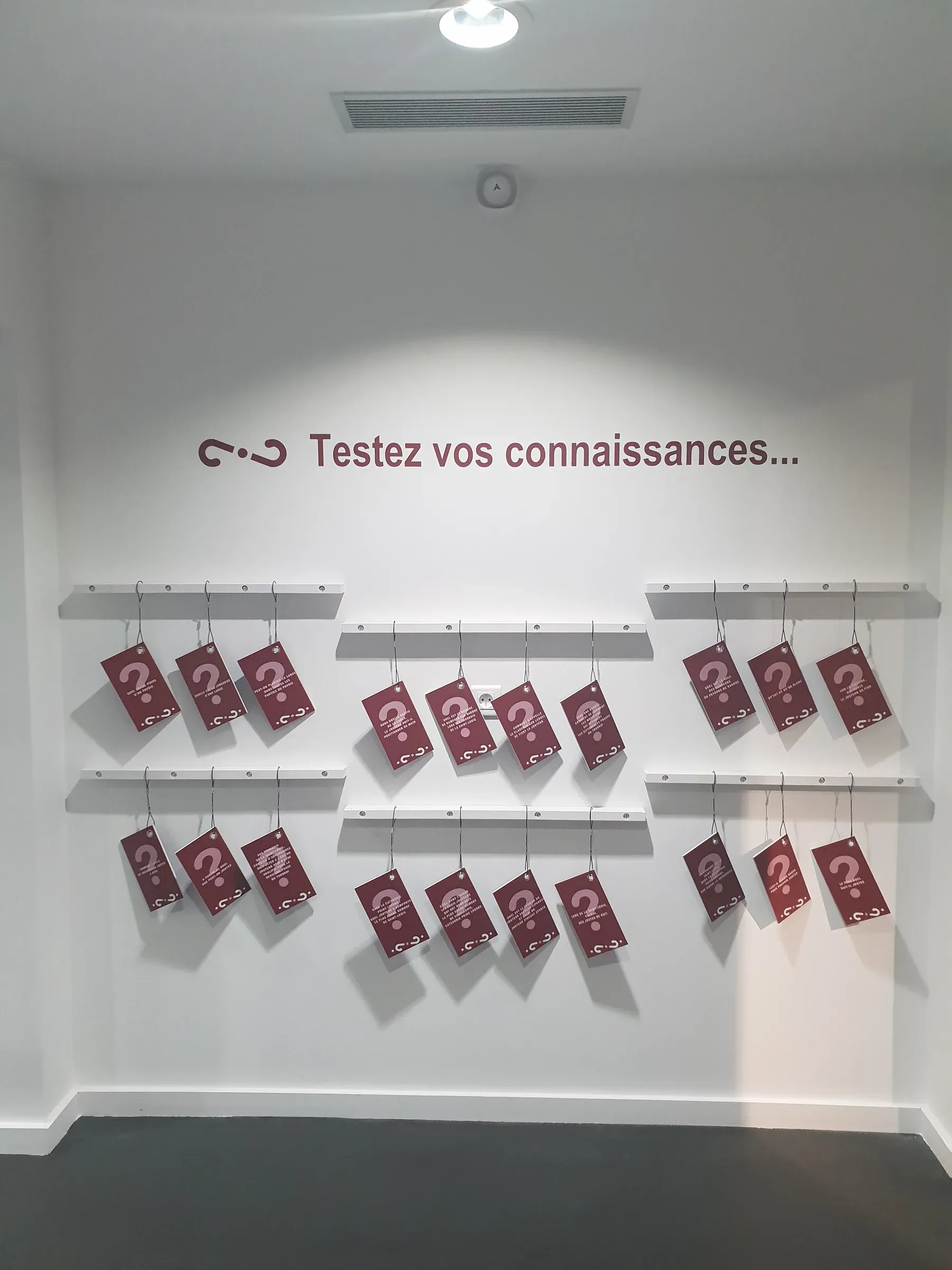 Exposition permanente "Les Joutes" Musée de la mer de Sète, photo 4