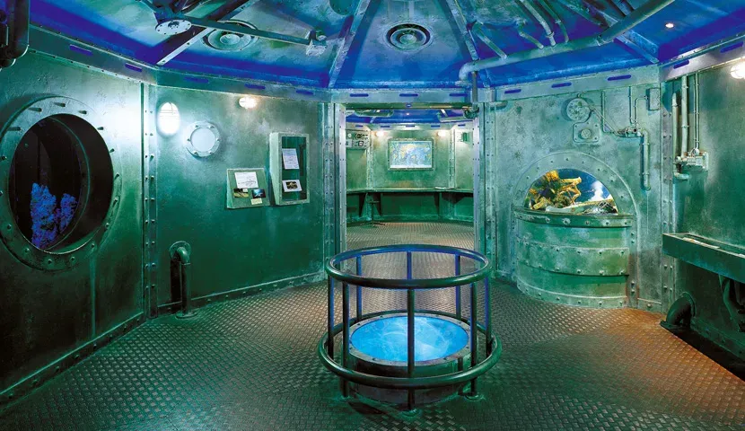 Aquarium Mare Nostrum, photo 5
