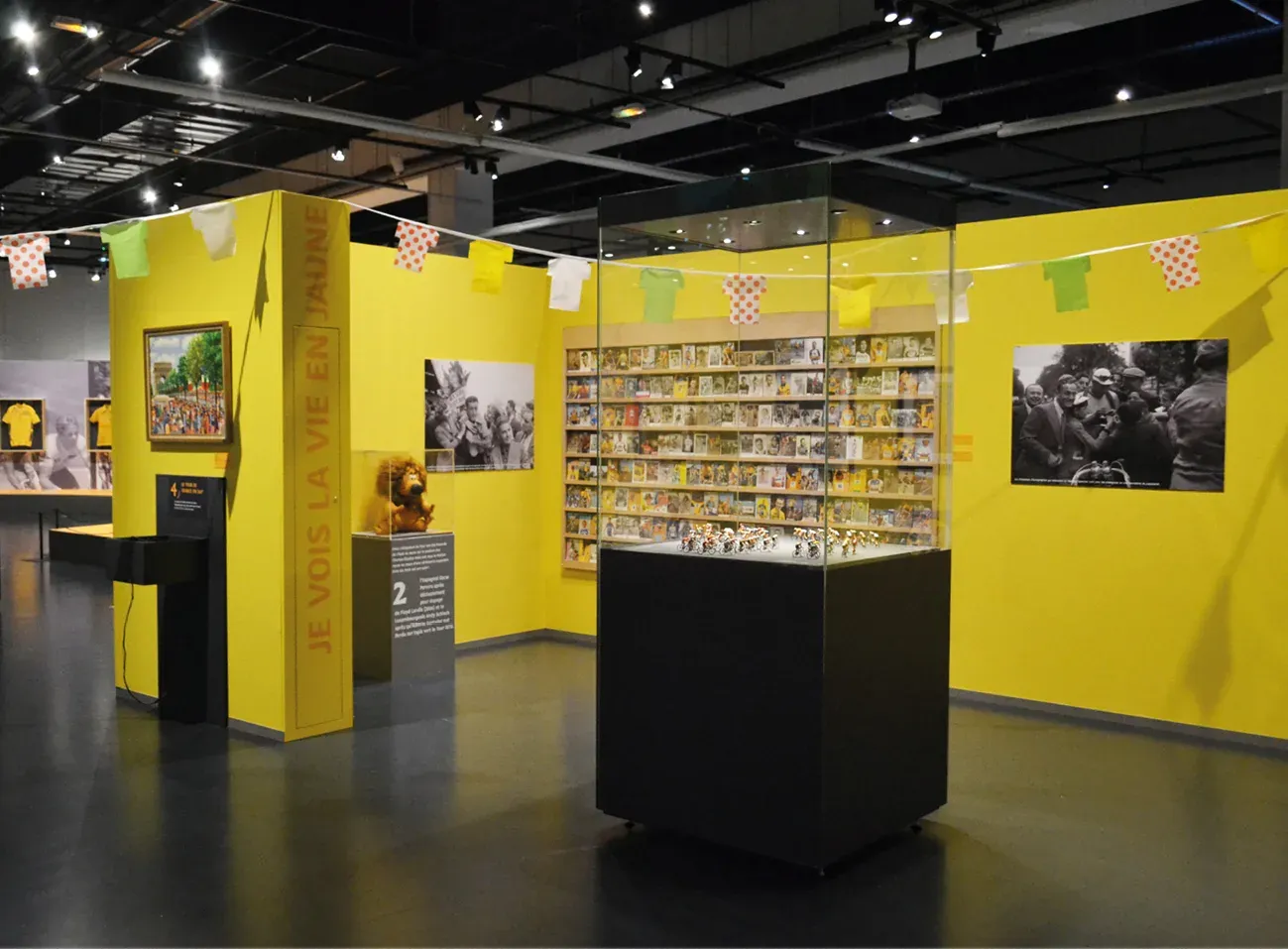 Exposition temporaire "100 ans de Maillot Jaune" Musée National du Sport, photo 10