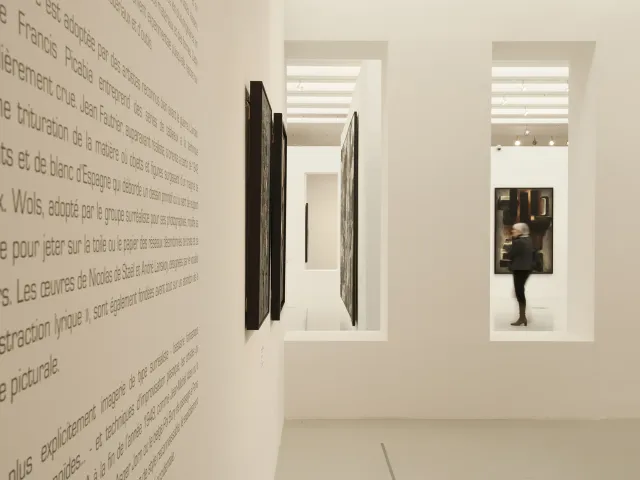 Exposition Gandur, Musée Fabre